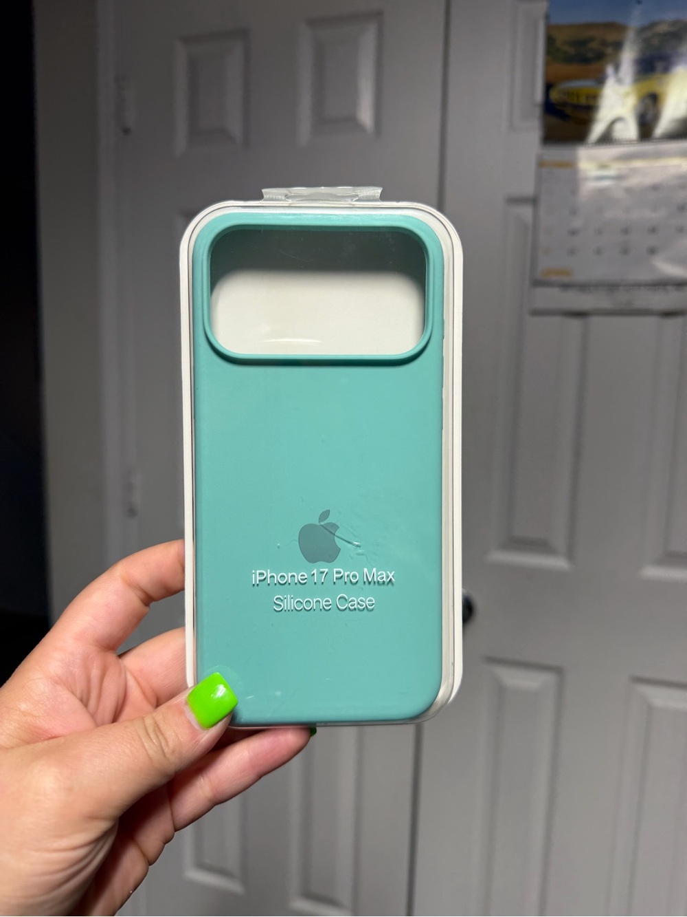 Apple iPhone 17 Pro Max Silicone Case - Mint Green
